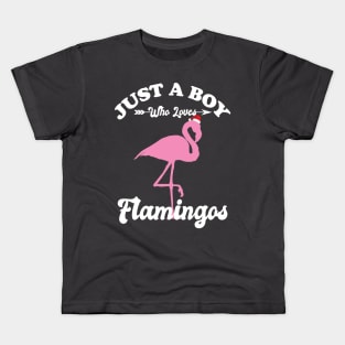 Just a Boy Who Loves Flamingos Kids T-Shirt